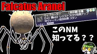 【⚔轟くFF11】轟くNM狩り部「Falcatus Aranei」【復帰プレイ#318】