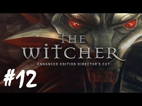 The Witcher - Part 12