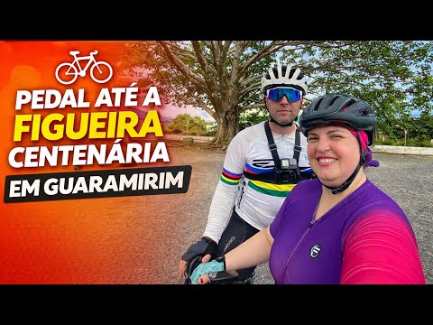 Pedal Figueira centenária - Guaramirim 