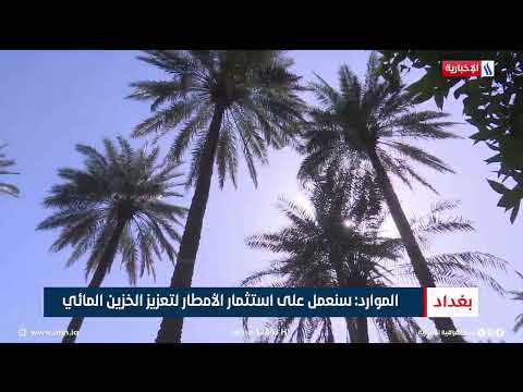 فيديو | الموارد : سنعمل على استثمار الأمطار لتعزيز الخزين المائي
