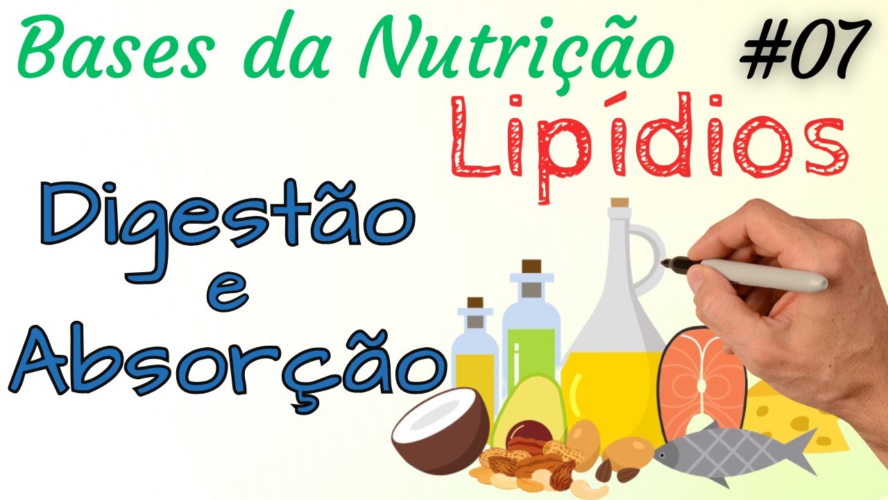 LIPÍDIOS: Digestão e Absorção - Bases da Nutrição 07