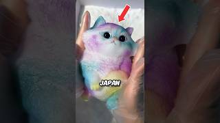 Squishy Sticky Cat Toy 😍 ￼