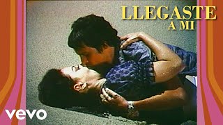 Llegaste a Mí Lyrics English Translation