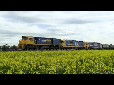 Pacific National Grain Train With NGPF & NGKF Hoppers - PoathTV Australian Railways
