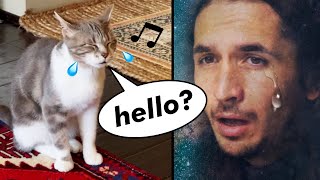Musik-Video-Miniaturansicht zu Sometimes I'm Alone (Lonely Cat's Song) Songtext von The Kiffness
