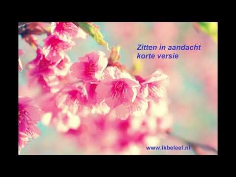 zitten in aandacht korte versie