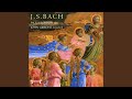 Sonata No.4 in A Minor, BWV.528 - Andante