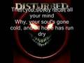 disturbed decadance (lyrics added) 