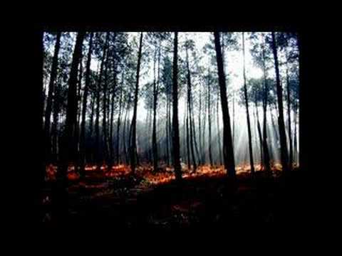 Gris - Il Etait Une Forêt (+ Lyrics)