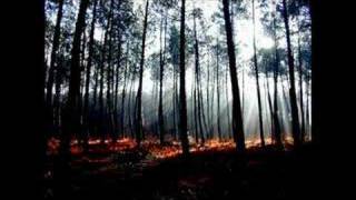 Gris - Il Etait Une Forêt (+ Lyrics)