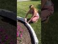 Landscape Edging 🌿 Faux Stones that are lightweight to transform your backyard