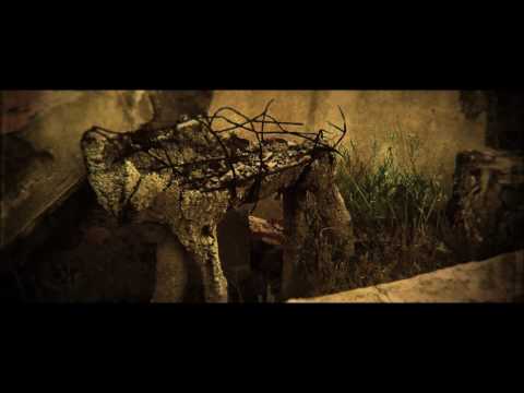 THENIGHTTIMEPROJECT Anti Meridian OFFICIAL VIDEO