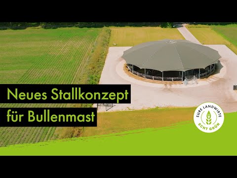 Neues Stallkonzept für Bullenmast