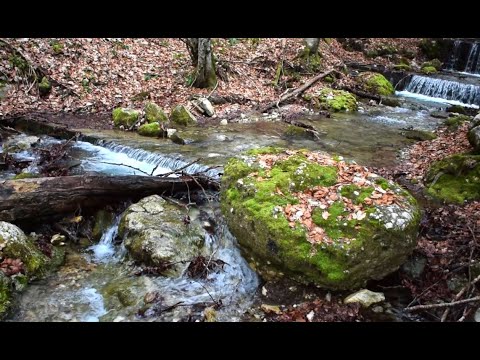 Filmare de pe Traseul Sinaia - Poteca Regala - Poiana Stanii