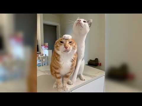 wonder & Yun Head - Bandits (Instrumental)