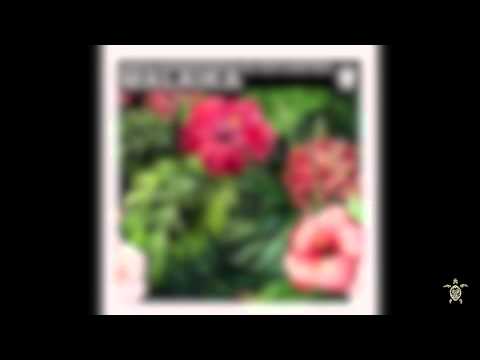 Nikos Diamantopoulos feat. Andyboi - Malaika VR027