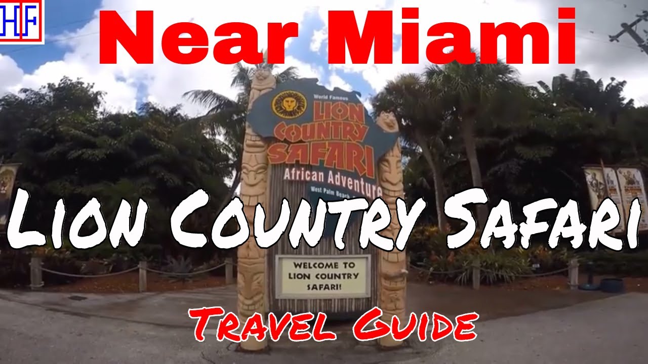 Lion Country Safari Florida HipFig Travel Guides