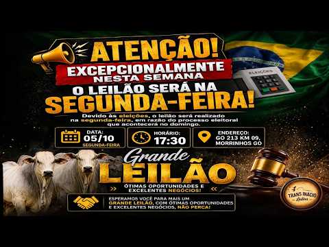 Leilão de Gado em MORRINHOS-GO, 05/10/2026  TransInácio Leilão - 17:45 Hs - Presencial e virtual.