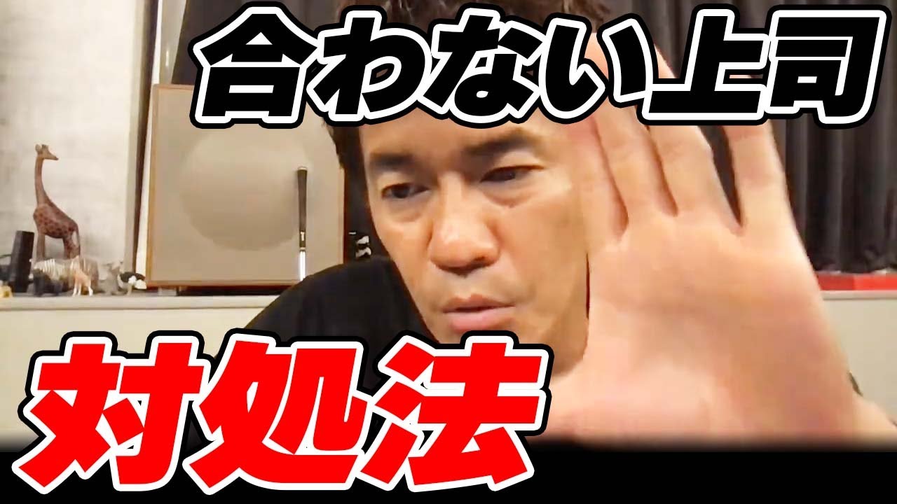 もう辞めたい… 合わない上司の対処法【武井壮 切り抜き】