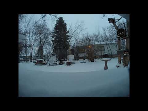 Snow storm Great Falls Montana 2021