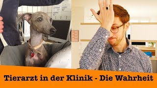 Tierarzt in der Klinik - Die Wahrheit über Arbeitsbedingungen und Geha