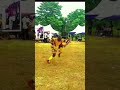 The most impossible dance in the world part 2 #zaouli #shortsvideo #youtubeshorts