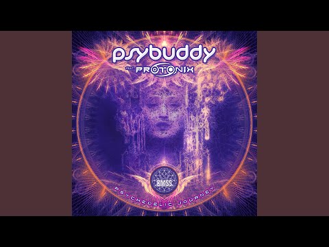 The Psychedelic Journey