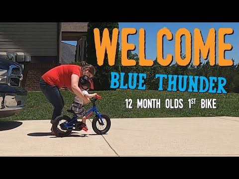 Trek 12" Precaliber   #familyof6 #kidsbike #trek