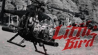 AH-6 Little Bird - The Killer Egg