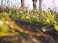 Josey Video - Sunny Side Up by Martina McBride