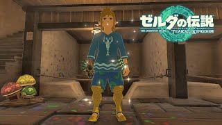 色変えてもだっせえわ．．．【ゼルダの伝説ティアーズオブキングダム】#36