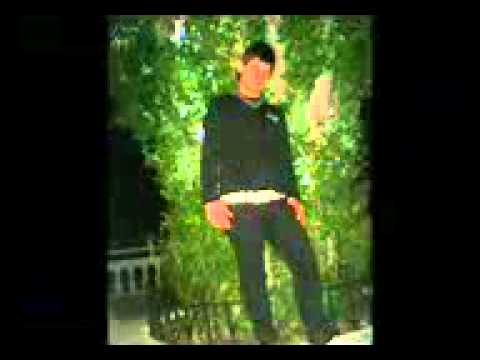 tamer hosny erga3 tani ( zein )