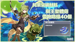 [閒聊] 我宣布樹王聖體菇是須彌最最陰間材料