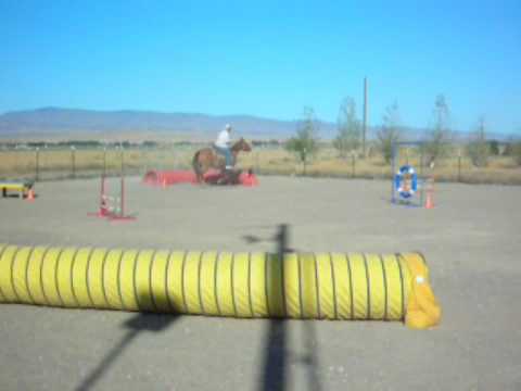New Horse and Dog Agility film from IHDAA
