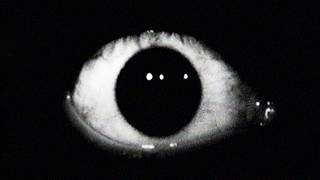 Where Did This GIF Come From