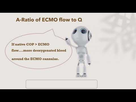 VV ECMO part4  VV physilogy 2