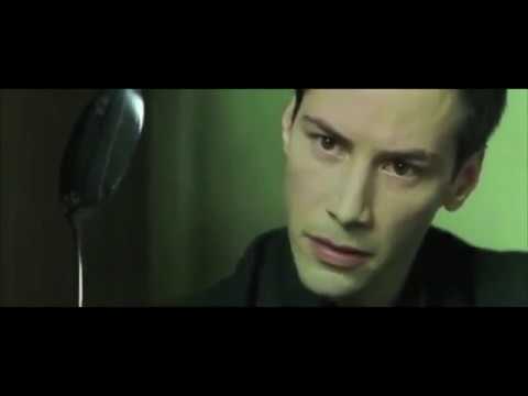 Bruce Lee V S  The Matrix Philosophy | Mr Blue TV