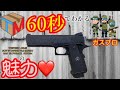 WESTERN ARMS ウェスタンアームズ SCW SV INFINITY5 0 EXPERT インフィニティ エキス�
