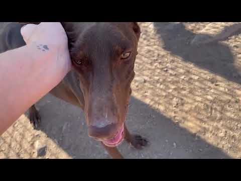 FOSKITO - www.canispro.de 