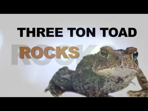 Three Ton Toad - Live Demo