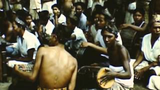 Mark Barrott 'Island Life' (Sketches from an Island)