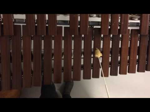 CLE15O-01MU2 - Xylofon