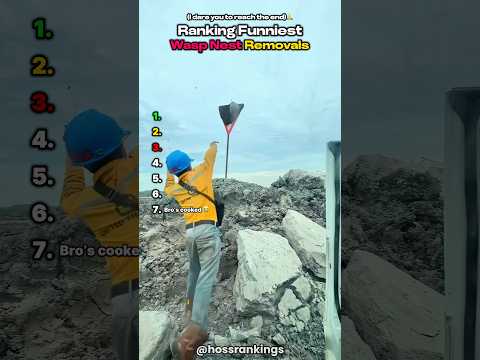 Ranking Funniest Wasp Nest Removals😭💀