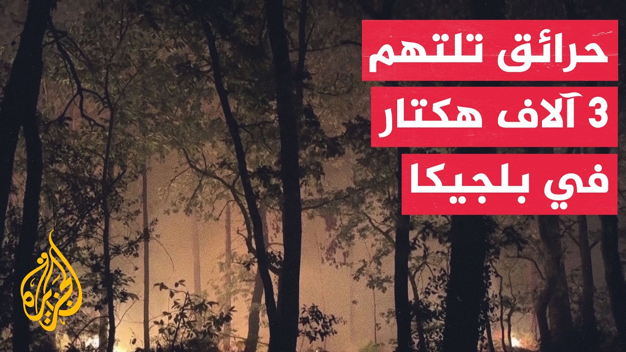 حرائق تلتهم 3 آلاف هكتار من الغابات في مقاطعة لييج البلجيكية