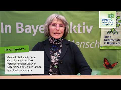 Gentechnik Teil 1:  Was ist Gentechnik