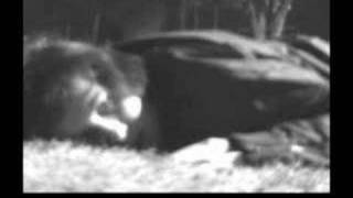 Underoath: Salmarnir