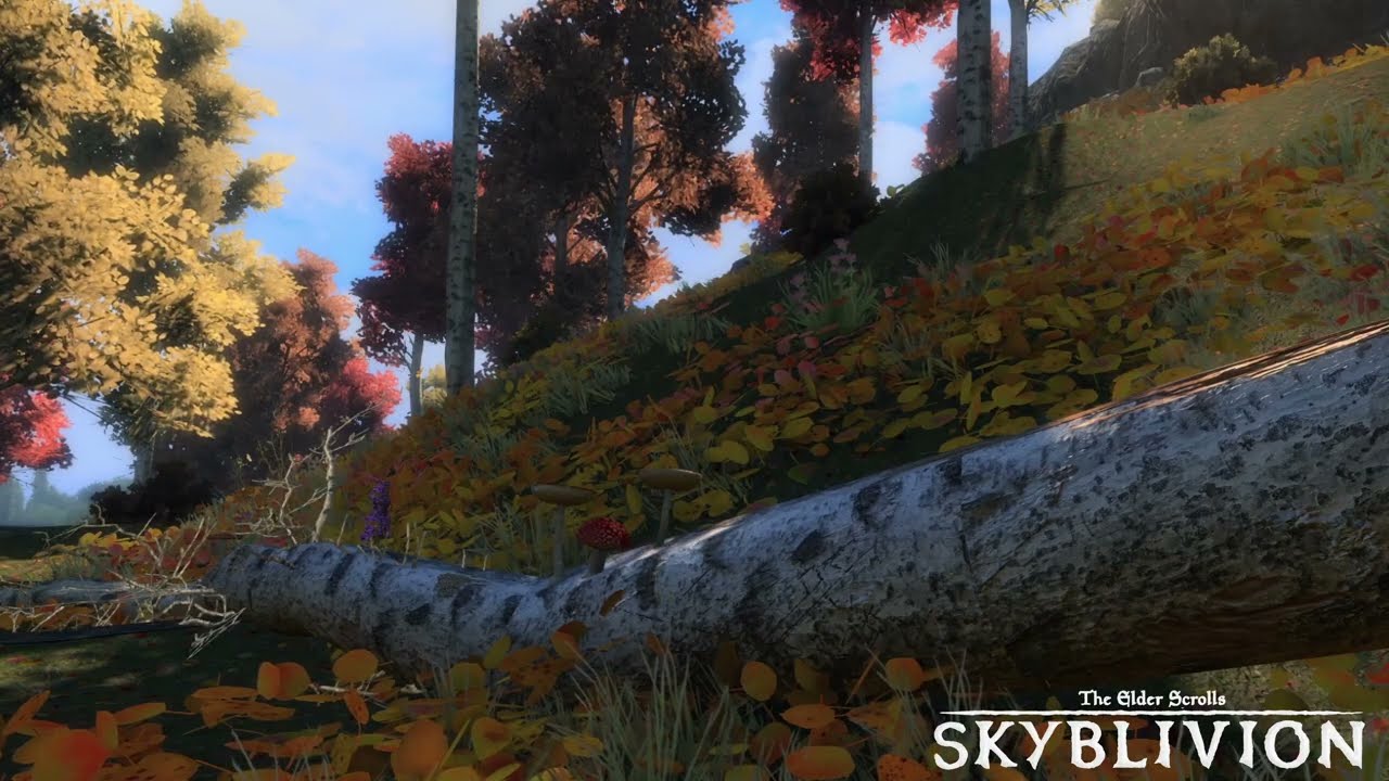 Skyblivion Ambience | 25 Minutes in the Fall Forest - YouTube