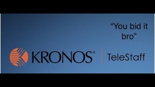 Telestaff Bids Demo