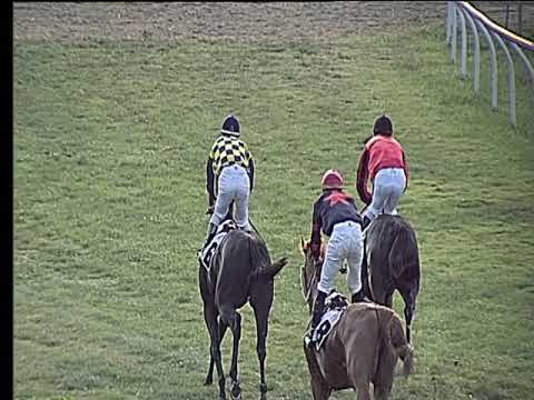 Galoppo 28/06/2019 - 4ª corsa