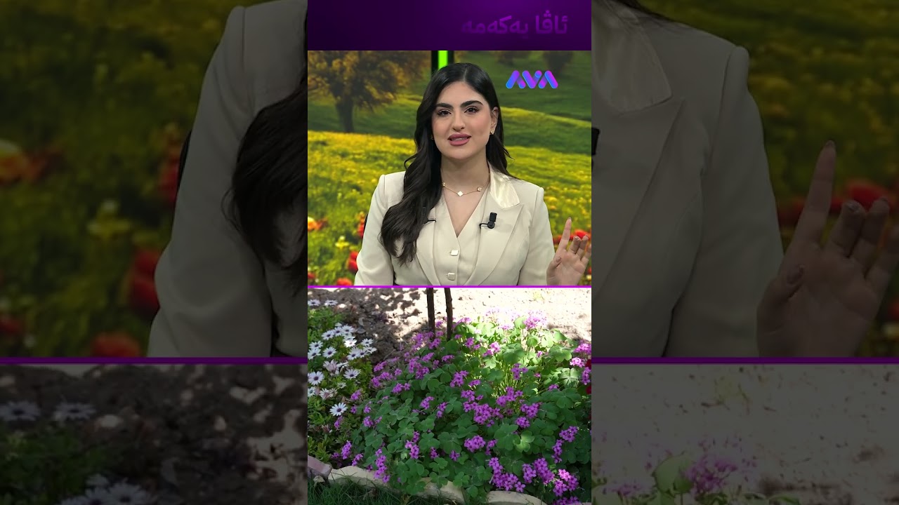 ڤیدیۆ | لەدوای کۆچی دوایی ژنەکەی ئەم کارەی کردووە